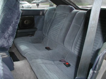Interior Rear